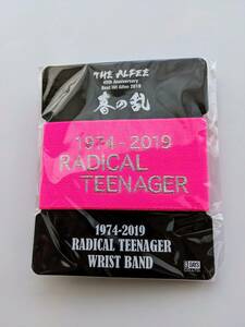 THE ALFEE アルフィー　2019年　ピンクのリストバンド　RADICAL TEENAGER 未開封