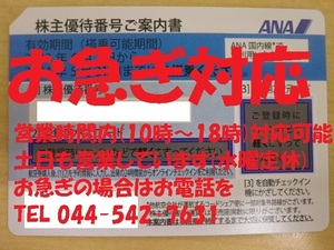 大黒屋 営業時間内即応 ANA 株主優待 5月末 送料無料 番号通知のみ 即決あり 1-9枚A