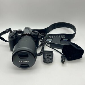【OLYMPUS Panasonic】通電確認済み OM-D E-M1 markⅡデジタルカメラ LUMIX G VARIO 100-300mm F4.0-5.6 一眼カメラ用レンズ ML10743