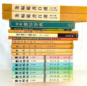 二玄社 書道講座/入門/条幅範書百選/詩文/篆書/漢字 教本 18冊 手本 書道 資料 研究 書籍 古書 古本 20240303-33