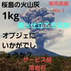 ご購入頂いた後採取☆　鹿児島　桜島　火山灰　約1kg　溶岩石付き　オブジェ