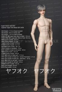 ★28日まで★ LUTS 70cm ボディ　Super Senior Delf BOY Superior Body Slim body luts ドール　dolk