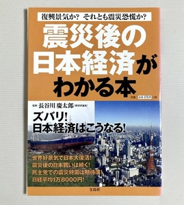 【送料無料】『震災後の日本経済がわかる本』宝島社