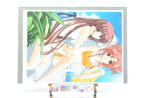 [Delivery Free]1990s Dengehi-Hime Game Girl A3 Pin-Up(Aoi Nishimata / Rin Shin) 電撃姫A3 西又葵/りんしん[tag電撃姫]