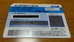ANA株主優待券（２枚、2024年５月31日）【普通郵便選択：送料無料】