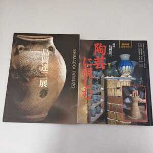 図録 島岡達三展 1998 + 陶芸に親しむ NHK趣味百科
