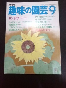 Ba7 00283 NHK 趣味の園芸 1984年9月1日号 リンドウ シンビジューム セントポーリア 玉型メセン類 カバープランツ アルストロメリア 他