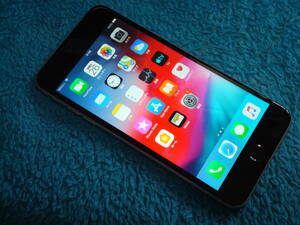 iPhone 6 Plus ドコモキャリア 16GB iOS 12.5.5 バッテリ最大容量83％ 液晶パネル新品 送料無料