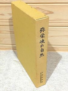 ●9/弥栄峡の自然 名勝弥栄峡総合学術調査委員会 広島県大竹市 山口県岩国市 小瀬川 渓谷