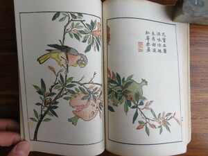 【木版彩色絵入】 芥子園毛花果譜 下冊　藝苑叢書　//和本唐本漢籍絵本絵手本信箋水印浮世絵多色摺中国美術東洋美術花鳥画芥子園画伝