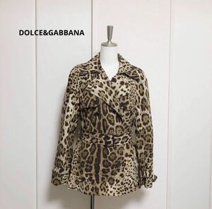 DOLCE&GABBANA ドルチェアンドガッバーナ　レオパード　ヒョウ柄　トレンチコート　Pコート　40