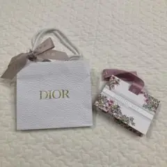 CHRISTIAN DIOR 2024 限定ショッパー リボン 紙袋 2点