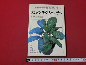 n★　NHK趣味の園芸：作業12か月　カンノンチク・シュロチク　平成9年第31刷発行　日本放送出版協会　/ｄ35