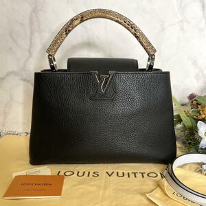 LOUIS VUITTON ヴィトン LV【極美品】カプシーヌ MM