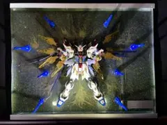 【自立可】MGEX 1/100 ストライクフリーダムガンダム レジンアート　ラメ