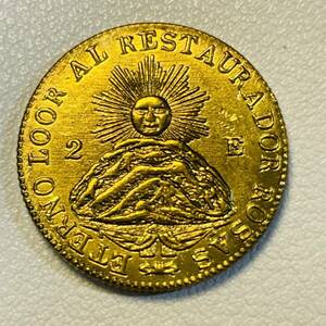 アルゼンチン 硬貨 古銭 ラ・リオハ州 1843年 太陽 国章 帽子 エスクード コイン 重5.48g