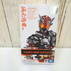 S.H.Figuarts 魂ウェブ商店　仮面ライダー雷