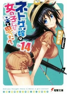 ネトゲの嫁は女の子じゃないと思った？(Ｌｖ．１４) 電撃文庫／聴猫芝居(著者),Ｈｉｓａｓｉ