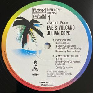 国内盤　帯付　LP JULIAN COPE/EVE