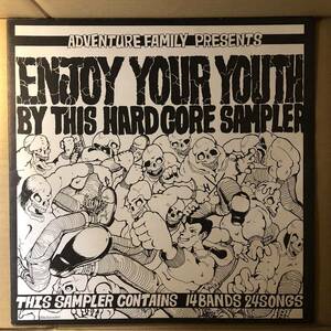 D01 中古LP 中古レコード Enjoy Your Youth By This Hardcore Sampler オムニバス ハードコア パンク