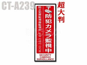 防犯カメラ・監視カメラと併用で大活躍 超大判多言語対応・防犯ステッカー（防犯カメラ監視中［縦型：赤］）CT-A239