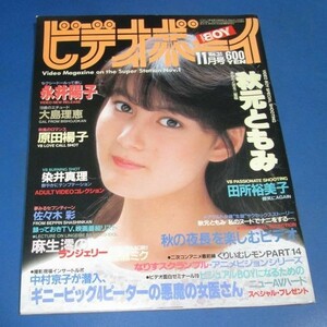 オ70）ビデオボーイ1986年11月号№31　秋元ともみ、永井陽子、大島理恵、原田楊子、田所裕美子、麻生澪、佐々木彩、染井真理