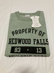 新品 WAREHOUSE ウエアハウス Lot 4096 杢 グリーン クルーネック Tシャツ REDWOOD FALLS サイズ 40 L