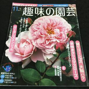 h-616 NHK趣味の園芸 2011/11 バラ/クリスマスローズ/盆栽/カランコエ/ガーデンズエンジェル その他 発行 ※8