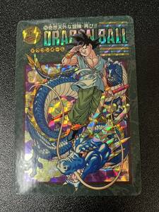 極美品 ドラゴンボール カードダス ビジュアルアドベンチャー No.253 奇想天外な冒険・再び!!