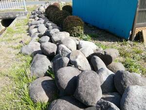 埼玉県坂戸市 御影石 玉石 大量 その昔、漬物に使っていた石になります。引き取りのみ対応　バラ売り可能です！