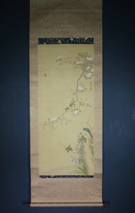 【真作】淡路島の画家　白川芝山　花鳥図　長崎派　A234シfs