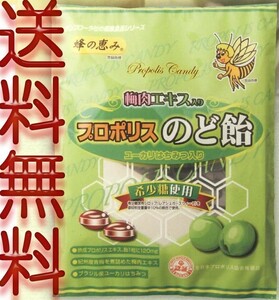 プロポリス入り 梅肉のど飴　80g キャンディー 代引不可　ゆうパケット 送料無料