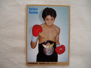 超レア 星野敬太郎◆BOXING CARD ボクシングカード 元WBA世界WBA世界ミニマム級王者 花形ジム 花形進 神奈川三羽烏 狼中年