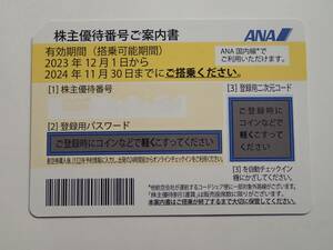 【送料無料】ANA株主優待券 搭乗券 1枚 有効期間　2024年11月30日