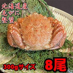 【北海道産】毛がに　8尾（300ｇサイズ）　堅蟹　毛蟹　けがに　ケガニ　蟹　かに　ボイル　母の日　父の日　お中元　お歳暮　年末