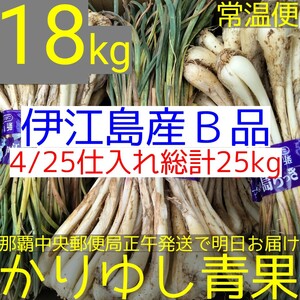 〈当店イチオシ〉伊江島産 島らっきょうＢ品約18kg【常温便無料】4/25①