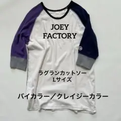 【JOEY FACTORY】五〜六分袖ラグランカットソー　クレイジーカラー　L