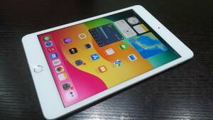 【動作品♪】au Apple iPad mini 5 第5世代 Wi-Fi+Cellular 256GB A2124(MUXD2J/A)判定〇/シルバー