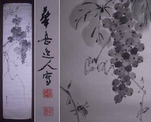 華岳逸人『花鳥図(蜂に葡萄の木)』まくり〔紙本肉筆真作〕/南画 文人画 中国画 掛軸・額装用マクリ