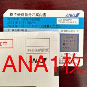 ANA株主優待券　1枚　2024年5月31日搭乗まで有効　送料無料　全日空 ③