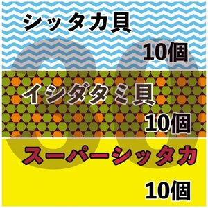 【各10匹 合計30匹】海水水槽コケ取り貝　3種セット　シッタカ　スーパーシッタカ　イシダタミ　★コケトリ貝