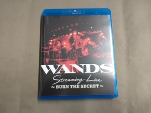 WANDS Streaming Live ~BURN THE SECRET~(Blu-ray Disc)