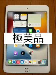 1円スタート　極美品　iPad mini5 64GB シルバー　中古