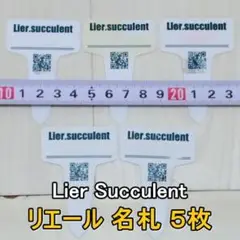 リエール サキュレント 名札５枚セット Lier Succulent ネームタグ