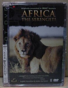 アフリカ／野生のセレンゲティ(DVD)　送料無料