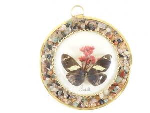 ブラジル ビンテージ 蝶の壁飾り 剥製 1990年代 直径11cm 厚み2cm ブラジルのお土産品です。YTK507