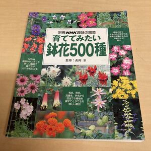 別冊NHK趣味の園芸 育ててみたい鉢花500種
