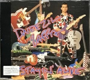 【 Dweezil Zappa Stayin