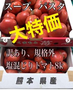 一度食べてみて！熊本八代　塩混じりトマト訳あり　8キロ　説明文必須　　トマトスープ　トマトスパゲッティ