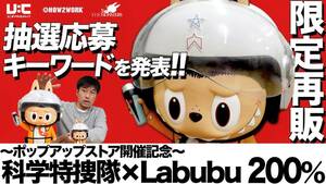 科学特捜隊ｘLabubu 200% ウルトラマン55周年 POP UP STORE 2020-CREATOR EDITION Ⅱ ラブブ ウルトラマン ULTRAMAN labubu 未開封　レア